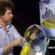 Illustration for article titled PBS painter Bob Ross gets awesomely Auto-Tuned